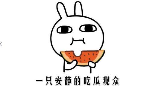 瓜太郎吃瓜黑料,吃瓜黑料背后的真相与反思